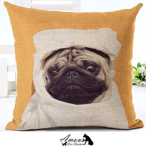 housse coussin chien carlin