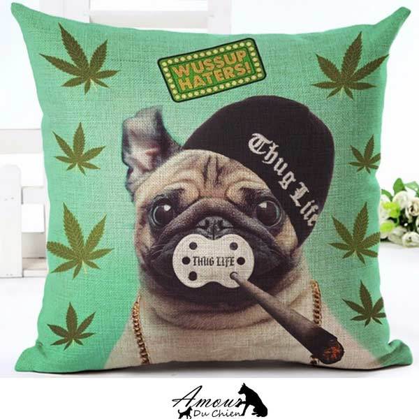 housse coussin chien carlin