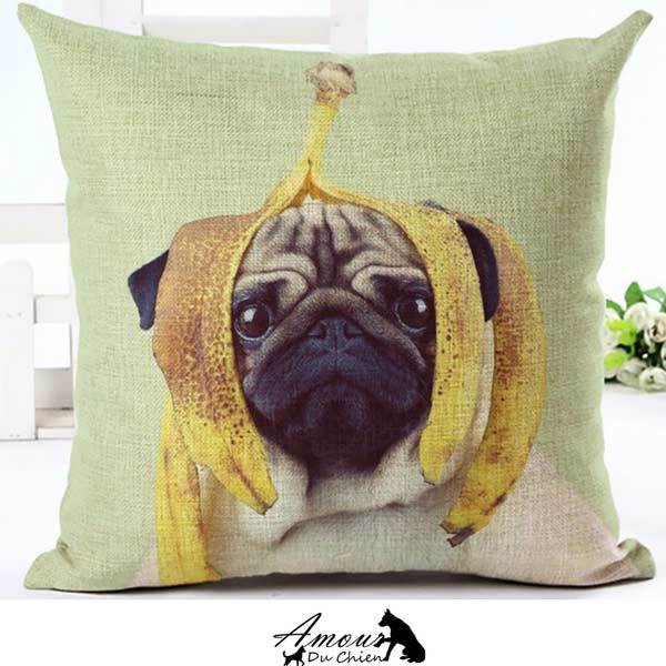 housse coussin chien carlin