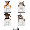 stickers autocollant chien chat