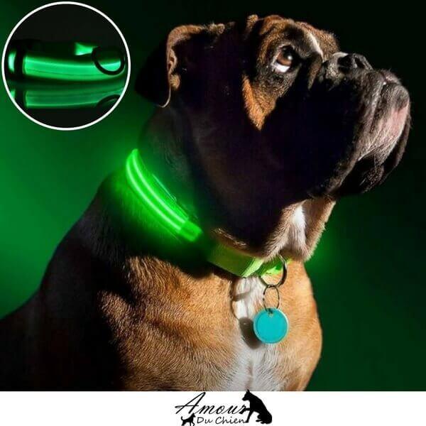 Collier lumineux LED Shoous USB pour animaux de compagnie
