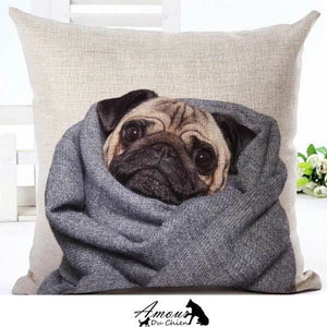 housse coussin chien carlin