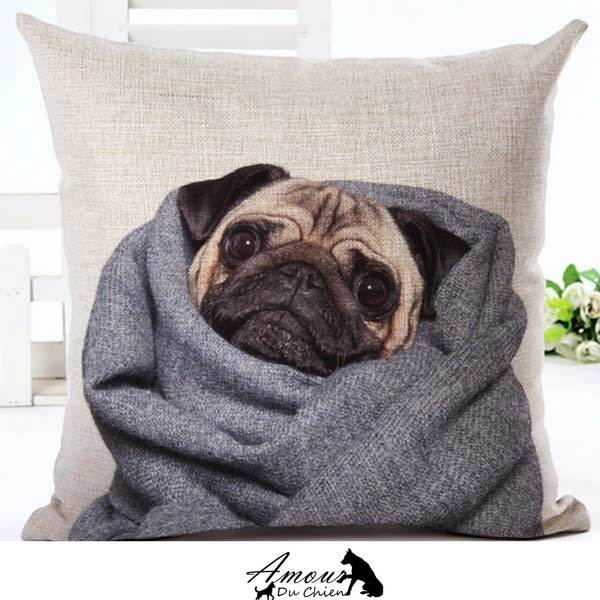 housse coussin chien carlin