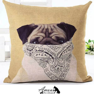 housse coussin chien carlin