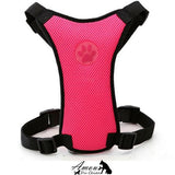 Grand Harnais en Nylon Pour Chiens