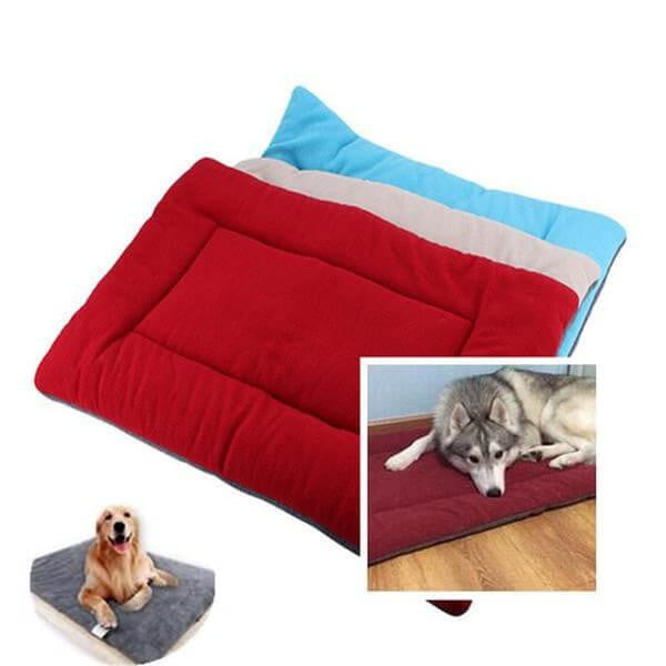coussin pour chien 