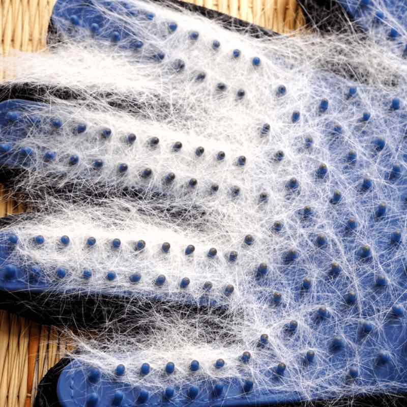 gants de toilettage magique