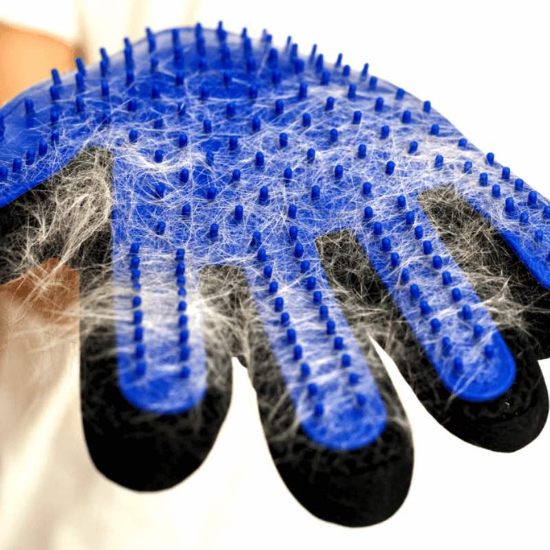 gants magique attrape poil