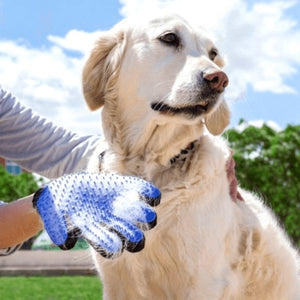 gants toilettage pour chien 