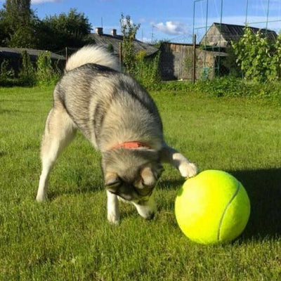 géante balle de tennis chien