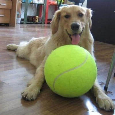 géante balle de tennis chien