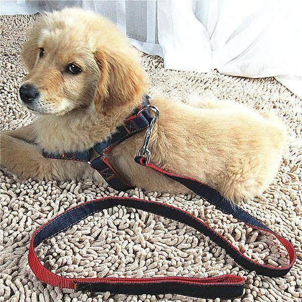 harnais et laisse en jean pour chien 