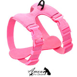 Harnais pour chien