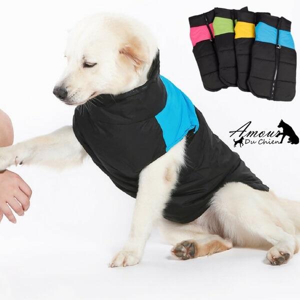 gilet harnais étanche pour chien imperméable