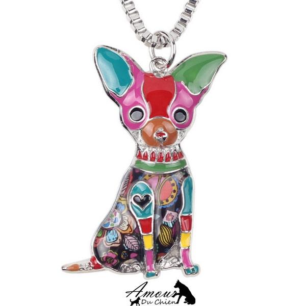 collier chien chihuahua