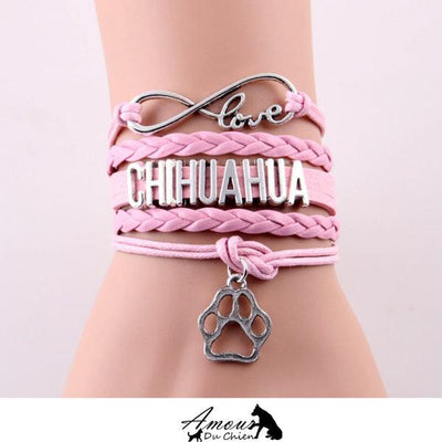 bracelet chien chihuahua