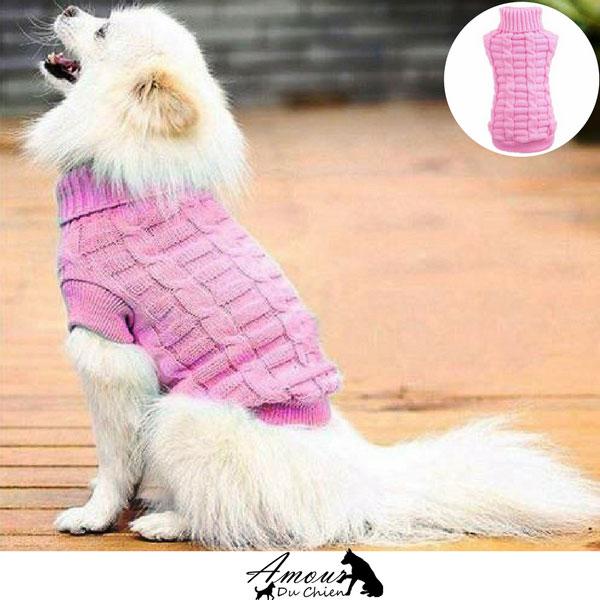 pull pour chien 