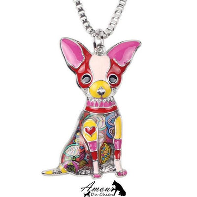 collier chien chihuahua